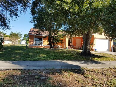 Left Side Yard