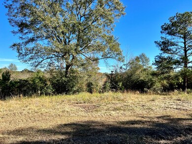 78-83 Rogers Ln, Tylertown, MS 39667 - photo 3