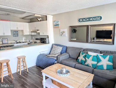 5104 Coastal Hwy unit 207N, Ocean City, MD 21842 - photo 7