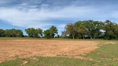 551 Sarra Ln, Poolville, TX 76487 - photo 3