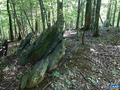 398 Stone Chimneys Rd unit I5, Nellysford, VA 22958 - photo 3