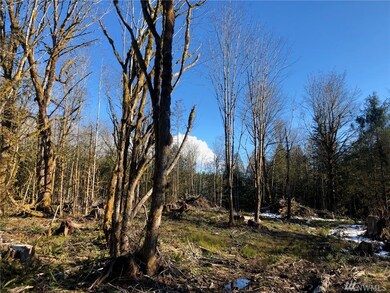 22 Nickelbush Rd, Quilcene, WA 98376 - photo 7