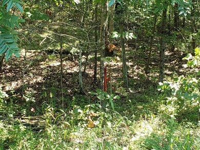 1081 Edenway Rd, Dover, TN 37058 - photo 6