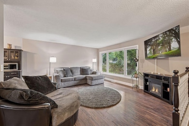 11476 W River Rd, Champlin, MN 55316 - photo 6