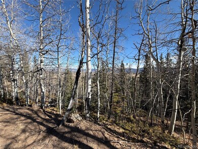 2201 Overland Cir, Jefferson, CO 80456 - photo 4