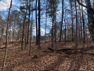 0 Abbotsley Ln, Bella Vista, AR 72714 - photo 6