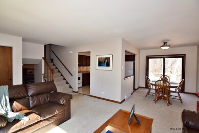 471 Kickapoo Ave, Batavia, IL 60510 - photo 3