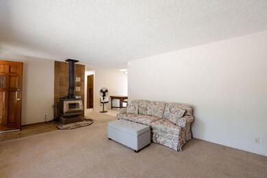 8-web-or-mls-50868 Doe Loop-4