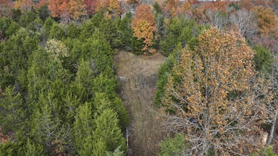 DJI_20251111124849_0002_D