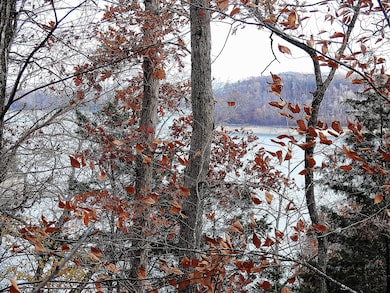 Lot 24 Restful Run Rd, Nancy, KY 42544 - photo 3