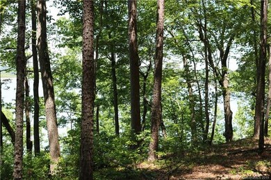 134 Bridgeland Trail unit Lot 3, Statesville, NC 28677 - photo 2