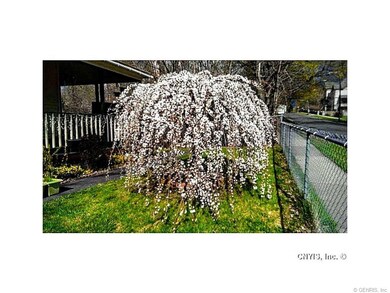 5 Chapman Ave, Auburn, NY 13021 - photo 2