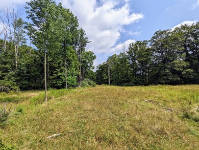 0 State Route 55, Kauneonga Lake, NY 12720 - photo 7