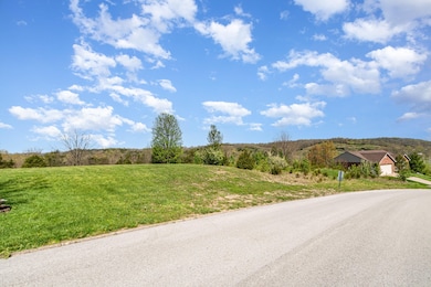 grisik_links_view_dr_4-edit_545