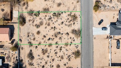 8212 Pine Springs Ave, Twenty-Nine Palms, CA 92277 - photo 2