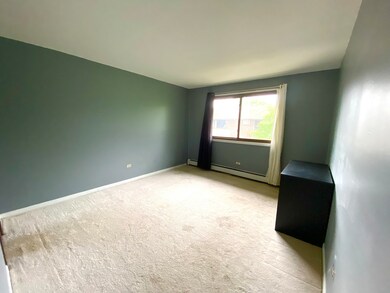 1220 S Lorraine Rd unit 3E, Wheaton, IL 60189 - photo 7