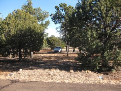 Lot 216 Exit
