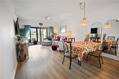 Dining area featuring wood finished floors and ceiling fan