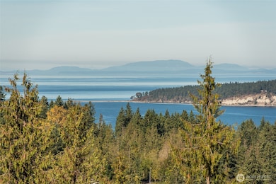 337 Louella Rd, Sequim, WA 98382 - photo 3