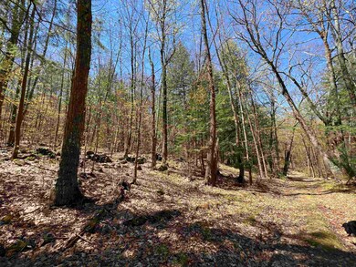00 Ramsay Hill Rd, Walpole, NH 03608 - photo 6