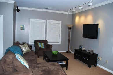 Living Room Area