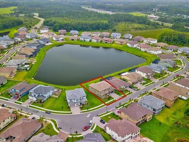 28415 Picana Ln, Wesley Chapel, FL 33543 - photo 4