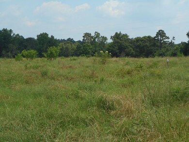 400 BLK County Road 134, Garrison, TX 75946 - photo 2