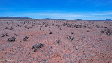 01 W Rolling Acres Rd, Seligman, AZ 86337 - photo 6