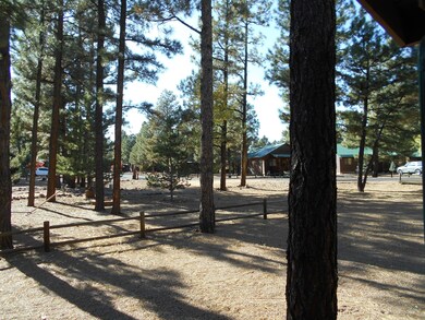 View From Front Deck