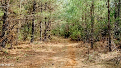 0000 Elijah Graham Rd, Noxapater, MS 39346 - photo 2