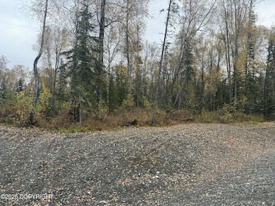 L4 S Lupine Cir, Talkeetna, AK 99676 - photo 3