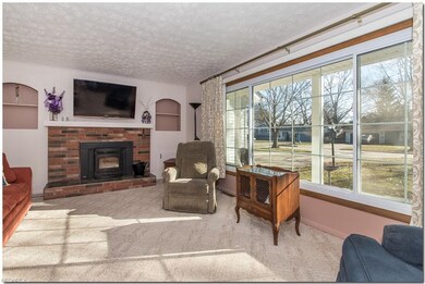 Living Room - extra large, newer vinyl replacement