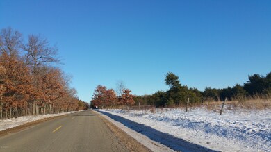 14306 N Gordon Ave, Bitely, MI 49309 - photo 2