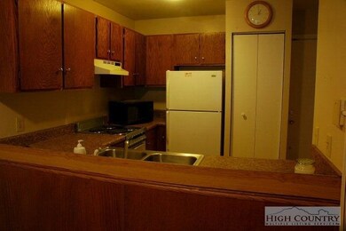 521 Meadowview Dr unit 203D, Boone, NC 28607 - photo 2