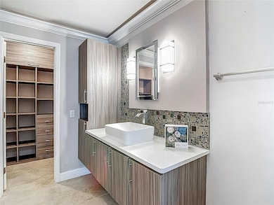 6001 Lemon Tree Ct, Tampa, FL 33625 - photo 5