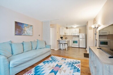 62 Carey Ave unit 1, Watertown, MA 02472 - photo 7