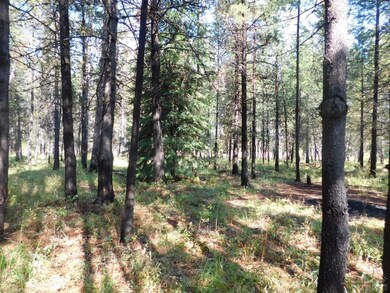 16951 Fontana, Bend, OR 97707 - photo 5