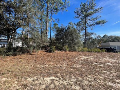 11475 N Kenney Loop, Dunnellon, FL 34433 - photo 5