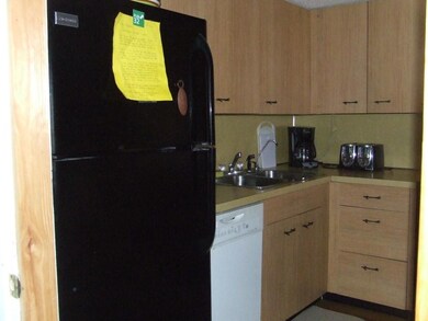 19 Big Coolidge Rd unit 5, Lincoln, NH 03251 - photo 4