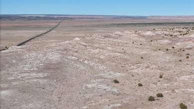 Unnamed Dirt Rd unit Apache AZ, Sanders, AZ 85936 - photo 4