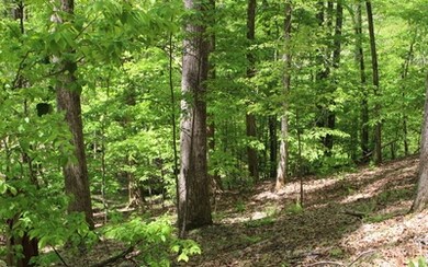 Additional View