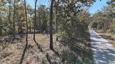 000 Stone Ridge Rd Tract B, Huggins, MO 65484 - photo 2
