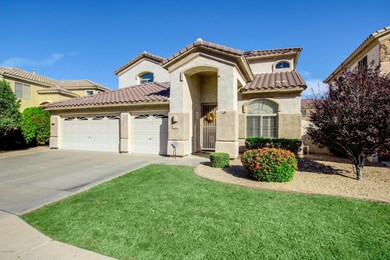 Beautiful Landscaped Yard