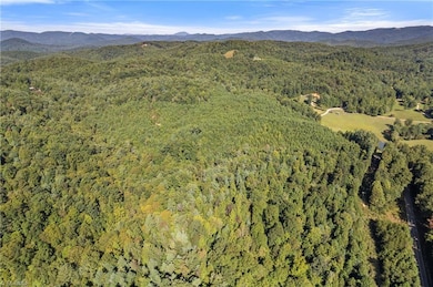 0 Mertie Rd unit 1194704, Wilbar, NC 28651 - photo 4