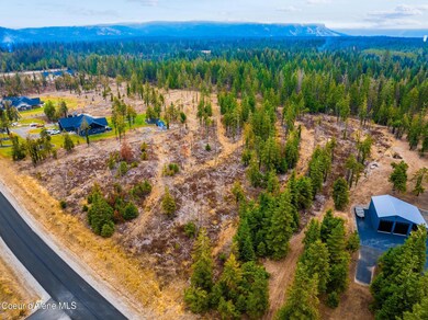 DJI_20241205070341_0068_D-HDR-Edit