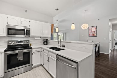 1313 SE University Ave unit 202, Waukee, IA 50263 - photo 4