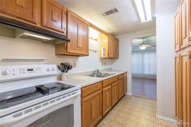 839 Santa Anna Dr, Alamo, TX 78516 - photo 6