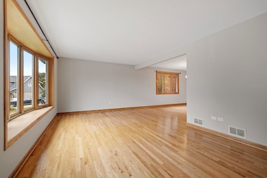 13255 W Long Run Ct, Homer Glen, IL 60491 - photo 3