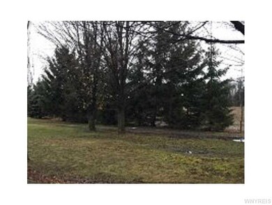 Yard.