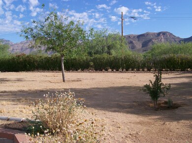 015 Back Yard N MLS 1